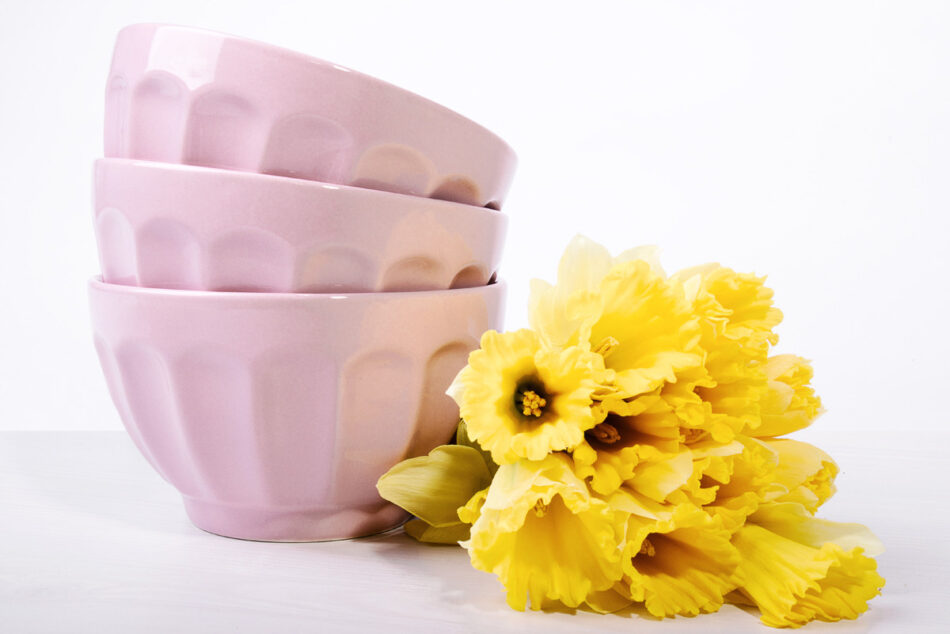 ARALES Miska růžový - obrázok 2