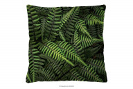 Vankúš do izby monstera