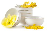 Misa z tvrdého porcelánu ecru/zlatá 6 ks.